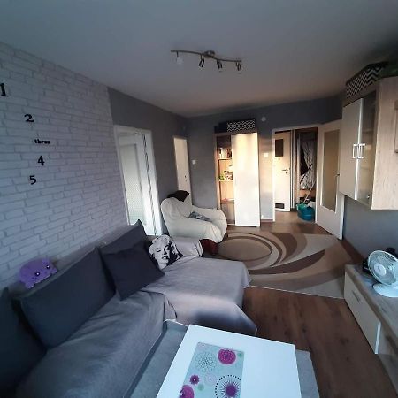 Kalisiowy Apartament Apartment Gdansk Bagian luar foto